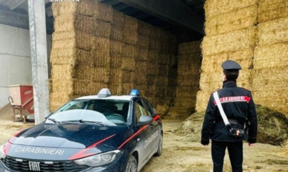 Tragedia sul lavoro a Marcaria, operaio 27enne perde la vita schiacciato da una rotoballa