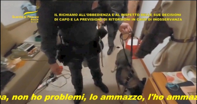 Cash dog e cani antidroga durante le perquisizioni e in occasione degli arresti