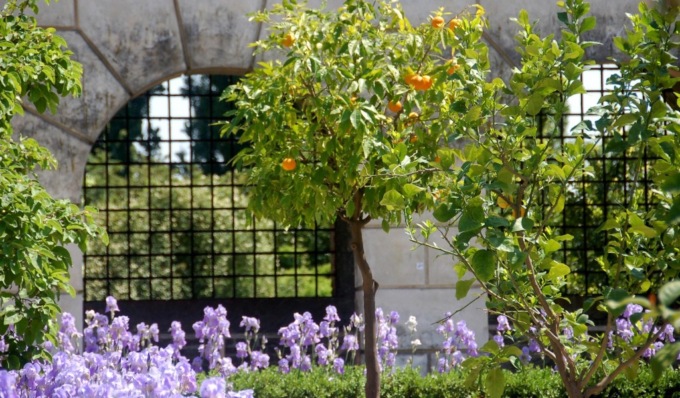 “Marzo al Ducale”, il programma completo degli eventi e delle attività