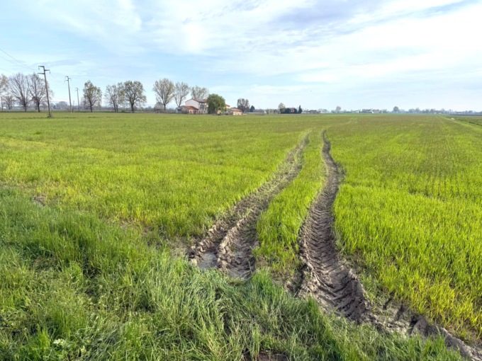 Colpo in azienda agricola, rubati nella notte tre trattori e attrezzi per 150mila euro
