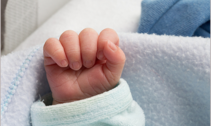 Istat natalità Italia: anche a Mantova nascite in picchiata, – 35,8 % in vent’anni