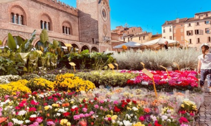Boom del turismo nel mantovano: superati i livelli del periodo pre-pandemia