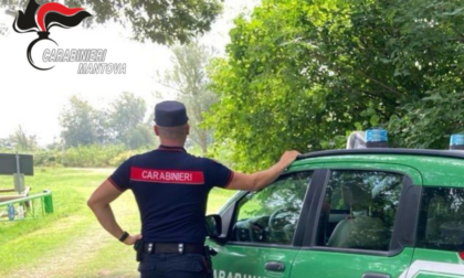 Abbandona il veicolo in un terreno, scatta la sanzione amministrativa