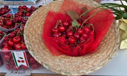 "Festa de la Saresa" a Ceresara: quattro giorni di gusto, musica e intrattenimento