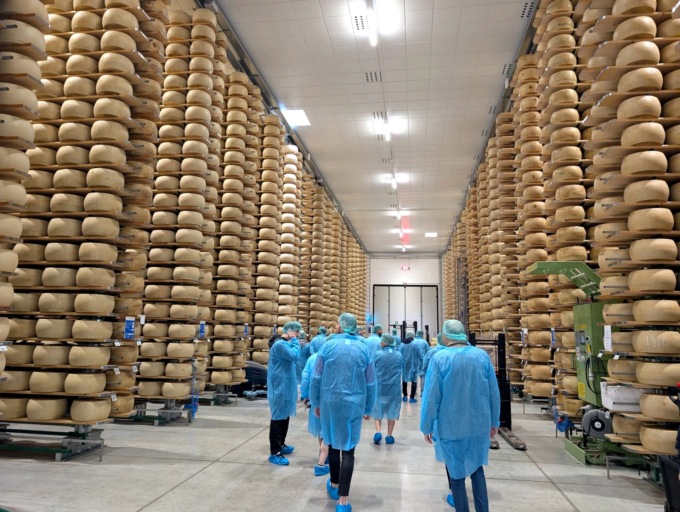 Come si fa il Parmigiano Reggiano? Ecco il corso per “salvare” caseifici e arte casearia