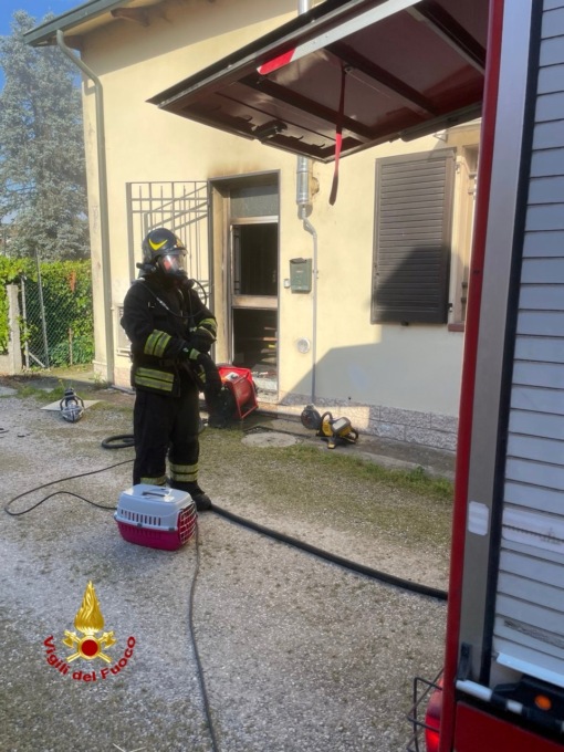 Un operatore dei vigili del fuoco con a fianco un trasportino per i mici