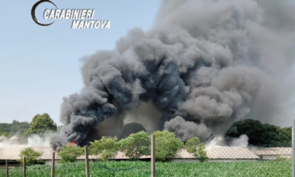 Prende fuoco l'incubatrice per pulcini, incendio a Castellaro Lagusello