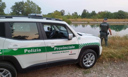 Bracconaggio nell'alveo del Mincio: la polizia provincial identifica dieci pescatori