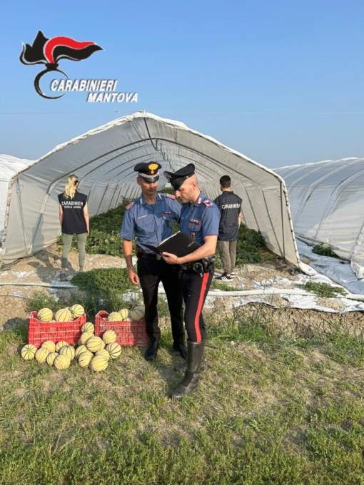 I carabinieri impegnati nell'operazione