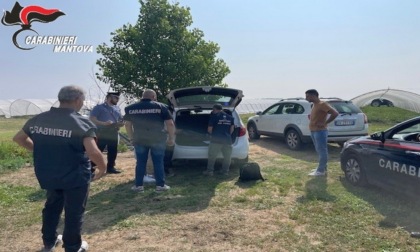 Maxi controlli sul lavoro nelle campagne: scattano sanzioni, sequestri e denunce