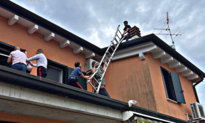 Lui e la compagna incinta litigano, poi si arrampicano sul tetto di casa: salvati entrambi