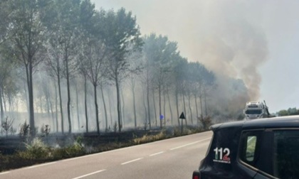 Bruciano sterpaglie a Bagnolo San Vito, Vigile del Fuoco accusa malore durante le operazioni di spegnimento
