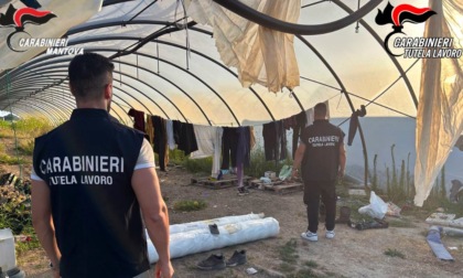 Lavoro nero e gravi irregolarità: chiusa azienda agricola nel Mantovano