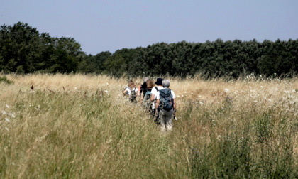 Ecco le escursioni alla scoperta della natura e degli animali sul Po e sui Laghi di Mantova