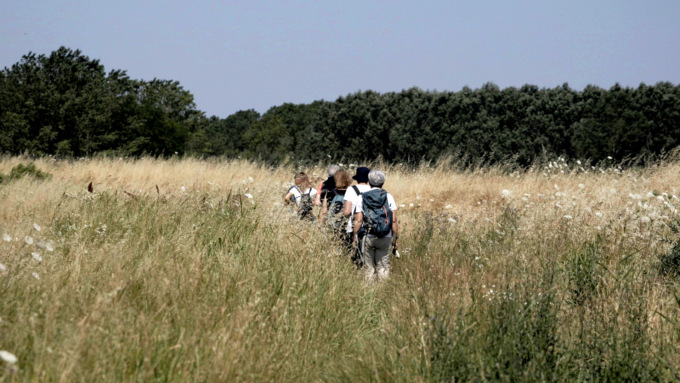 Ecco le escursioni alla scoperta della natura e degli animali sul Po e sui Laghi di Mantova