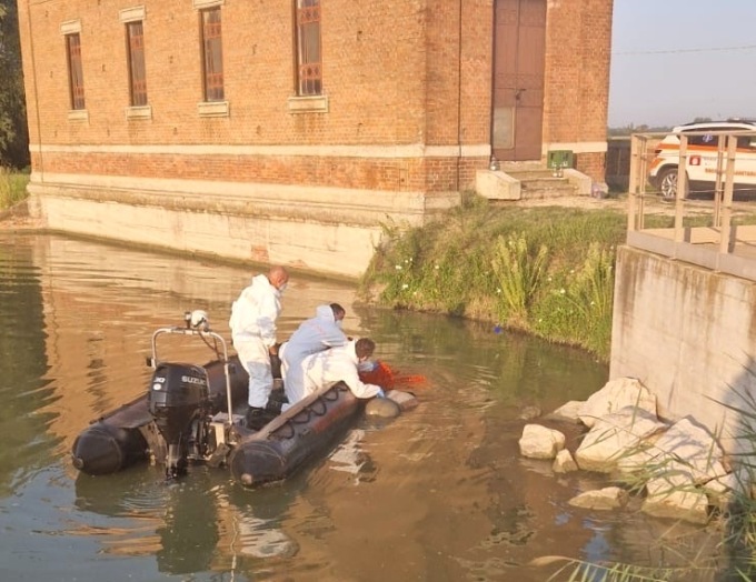 Il recupero da parte dei vigili del fuoco