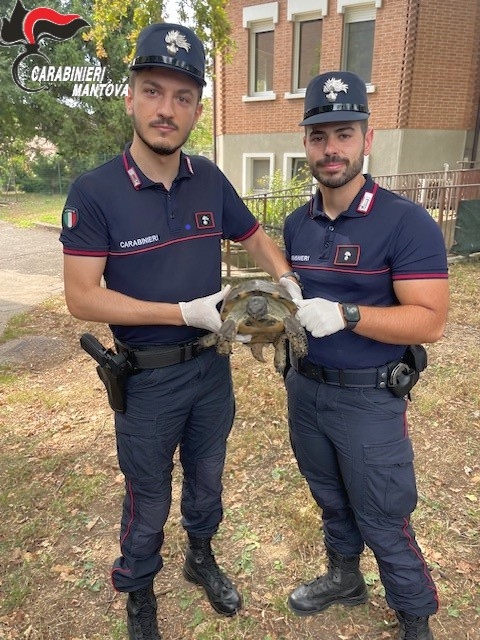 I Forestali con la "testudo marginata" trovata nei cortili della Casa del Sole