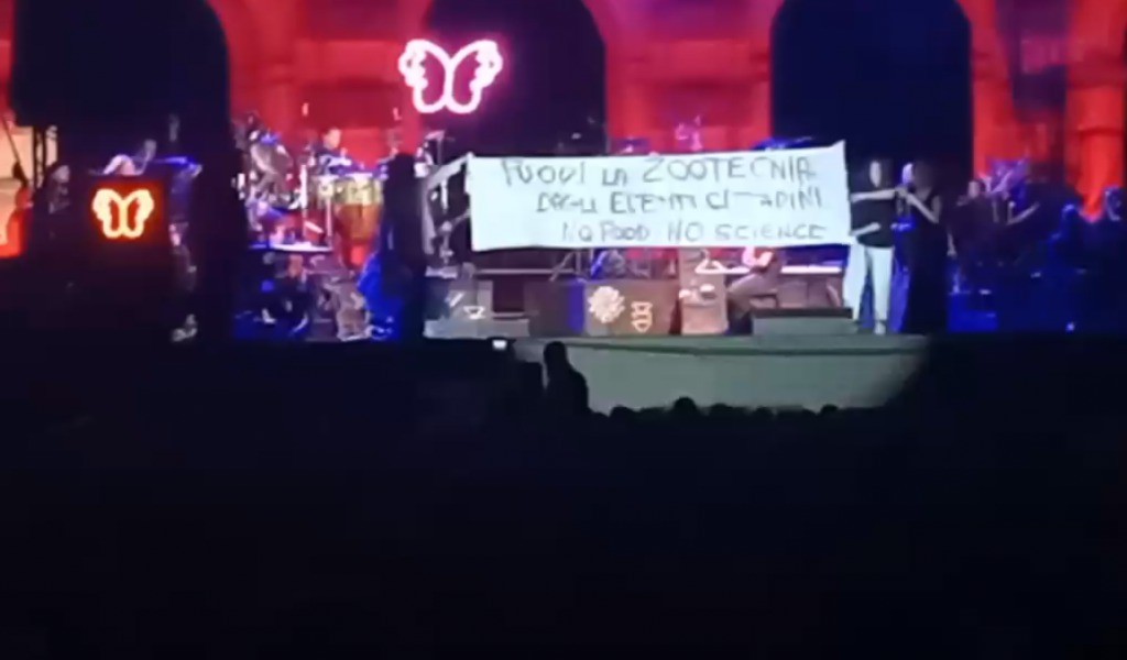 Attiviste interrompono il concerto di Fiorella Mannoia a Mantova: “Diritto di disobbedire”