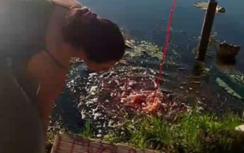 Il “sangue” dei macelli nelle acque del Mincio: “No Food No Science” protesta contro lo sponsor di Interno Verde Acqua