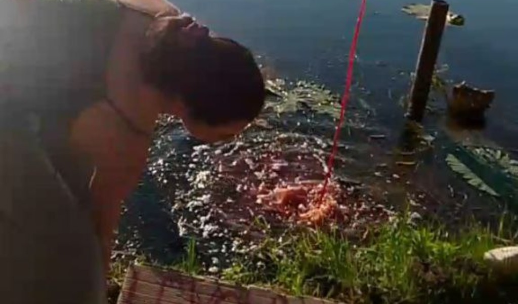 Il “sangue” dei macelli nelle acque del Mincio: “No Food No Science” protesta contro lo sponsor di Interno Verde Acqua