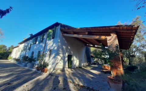 Alla scoperta dei Mulini Storici Mantovani: una giornata tra storia, cultura e paesaggi