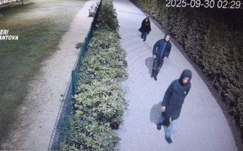 Furto al bar dello stadio di Mantova: ladro si amputa il mignolo durante la fuga