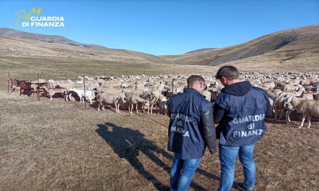 Finanziamenti indebiti dall’Europa: maxi sequestro alle aziende agricole anche nel Mantovano