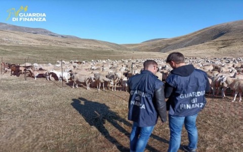 Finanziamenti indebiti dall’Europa: maxi sequestro alle aziende agricole anche nel Mantovano