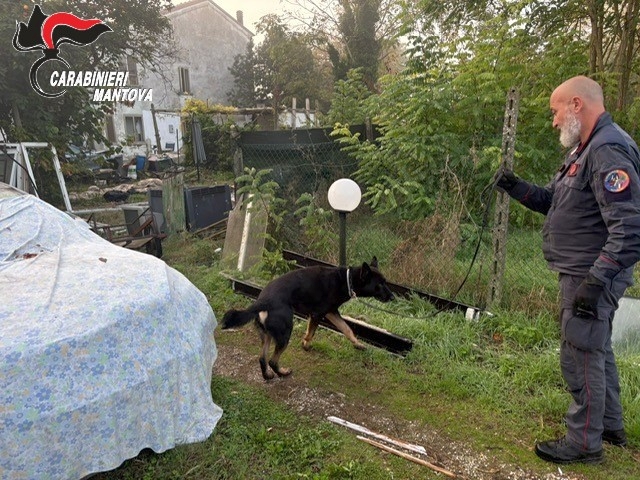 Un momento durante le perquisizioni nel Destra Secchia