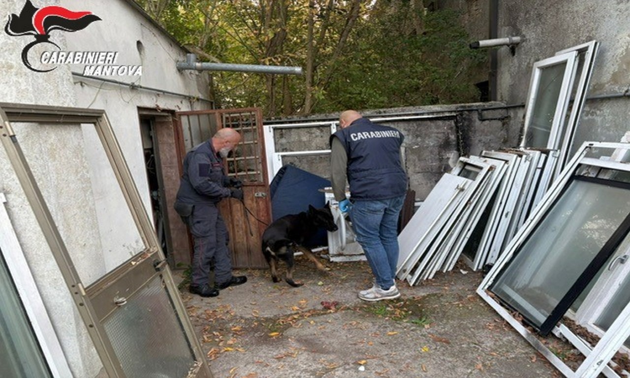 Case al setaccio dei cani antidroga: trovati gli stupefacenti, scattano tre denunce