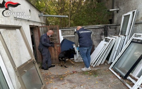 Case al setaccio dei cani antidroga: trovati gli stupefacenti, scattano tre denunce