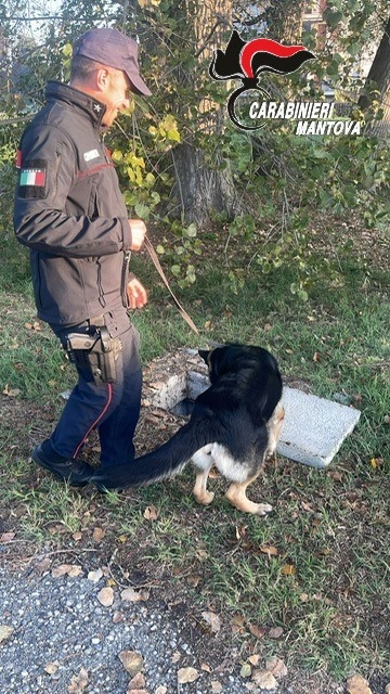 Operazioni svolte con i Cinofili di Orio al Serio