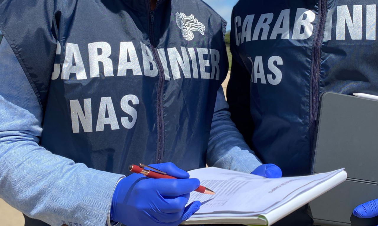 Blitz dei NAS in un’azienda agricola di Roncoferraro: animali sequestrati, multa da 10mila euro