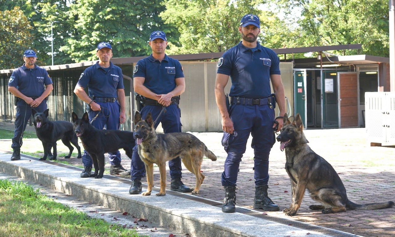 “Più sicurezza e contrasto alla microcriminalità”: la polizia locale si dota dei cani