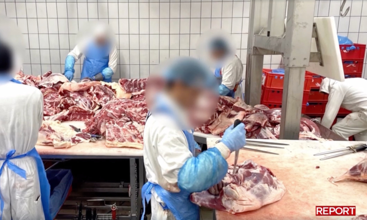 Nuovo servizio di Report sul Macello Bervini di Pietole: “Carne scaduta anche nella Simmenthal”