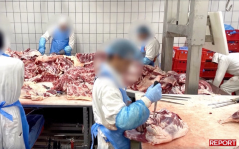 Nuovo servizio di Report sul Macello Bervini di Pietole: “Carne scaduta anche nella Simmenthal”