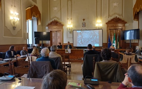 In provincia di Mantova creati mille ettari di nuovi boschi lungo le golene del Po