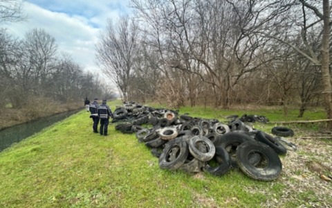 Scoperta maxi discarica abusiva di pneumatici nel cuore del Parco del Mincio