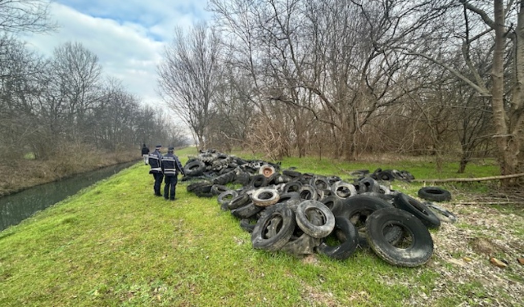 Scoperta maxi discarica abusiva di pneumatici nel cuore del Parco del Mincio