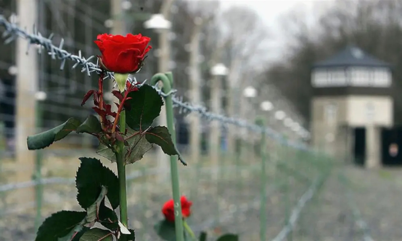 Giorno della Memoria 2026: il programma delle commemorazioni a Mantova