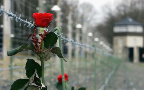 Giorno della Memoria 2026: il programma delle commemorazioni a Mantova