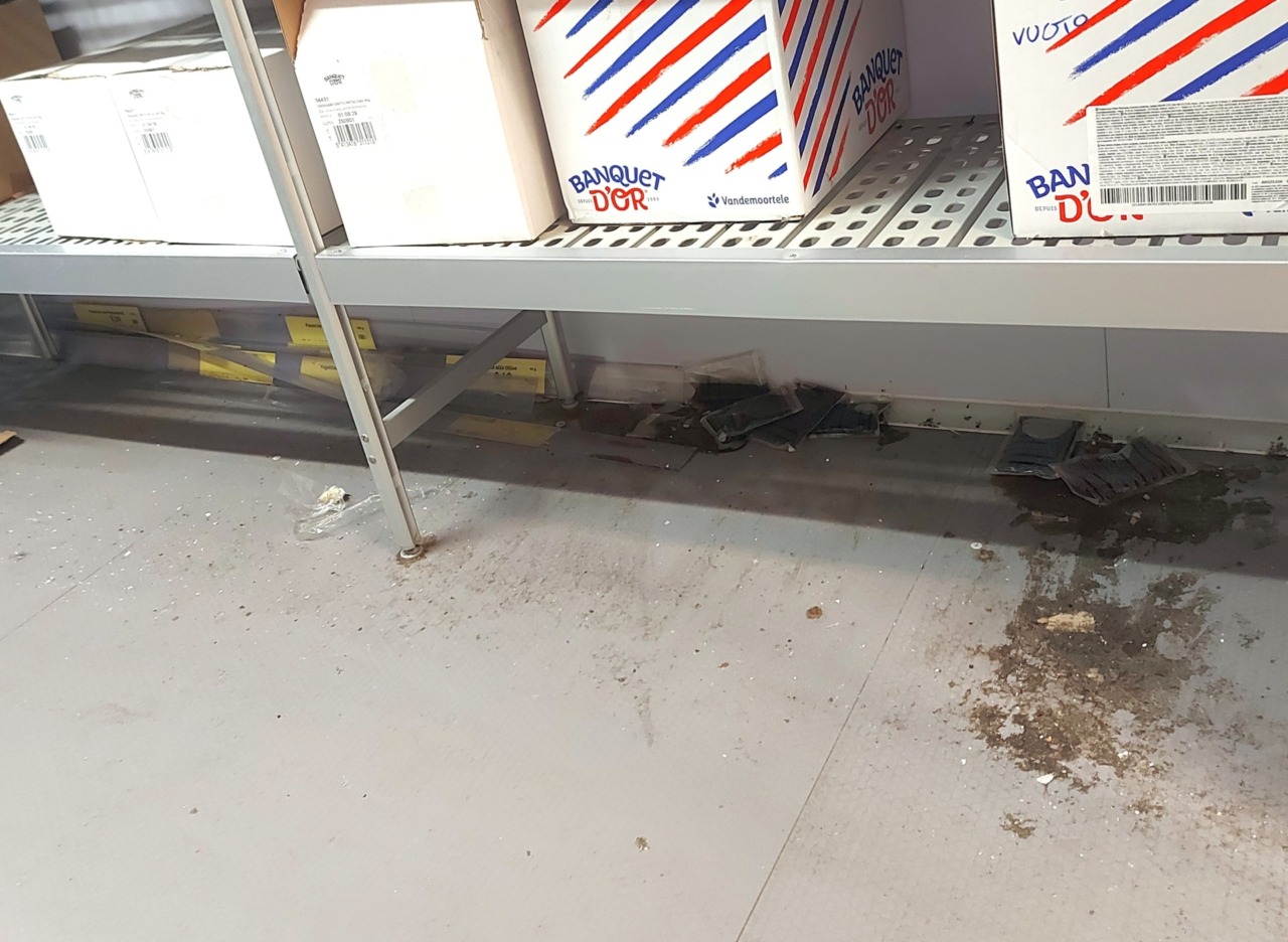 Carenze igieniche e altre violazioni: il market autosospende l’attività dopo i controlli del Nas