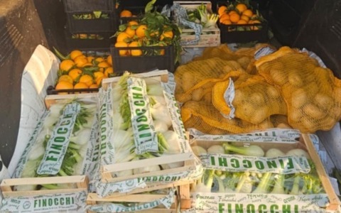 Tra le cassette di frutta spunta un coltello e un lavoratore minorenne “in nero”