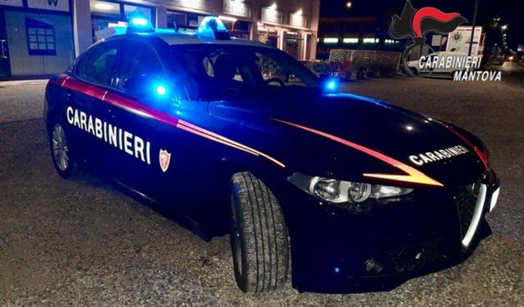 Tragico incidente a Viadana: muore cane investito da camion raccolta rifiuti