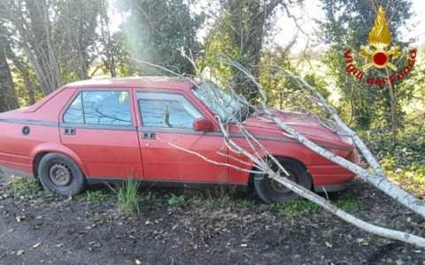 Albero cade su un’auto a Goito: intervento tempestivo dei Vigili del Fuoco