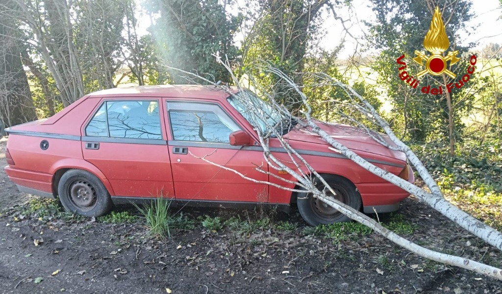 Albero cade su un’auto a Goito: intervento tempestivo dei Vigili del Fuoco