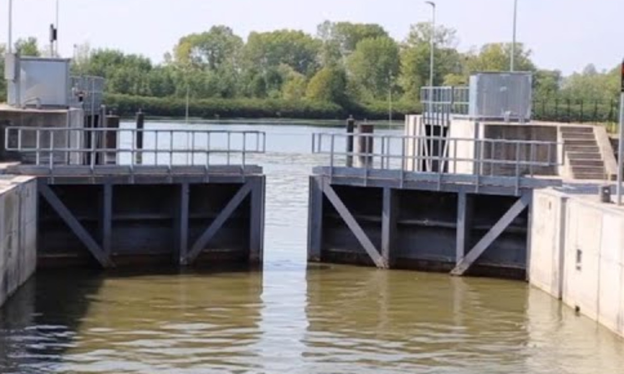 Capriolo rimane incastrato nella Conca di Valdaro, liberato dai pompieri