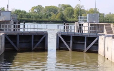 Capriolo rimane incastrato nella Conca di Valdaro, liberato dai pompieri