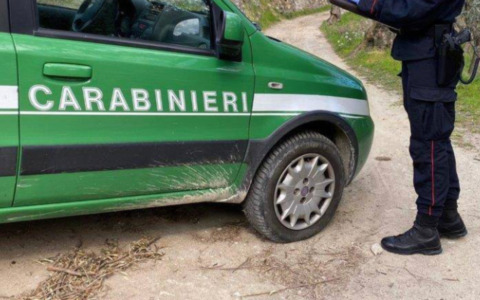 Lavori abusivi nel Parco dell’Oglio Sud ad Acquanegra, denunciati tre pensionati