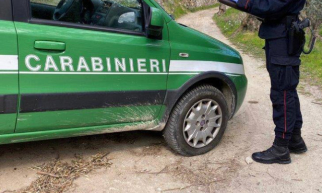 Lavori abusivi nel Parco dell’Oglio Sud ad Acquanegra, denunciati tre pensionati